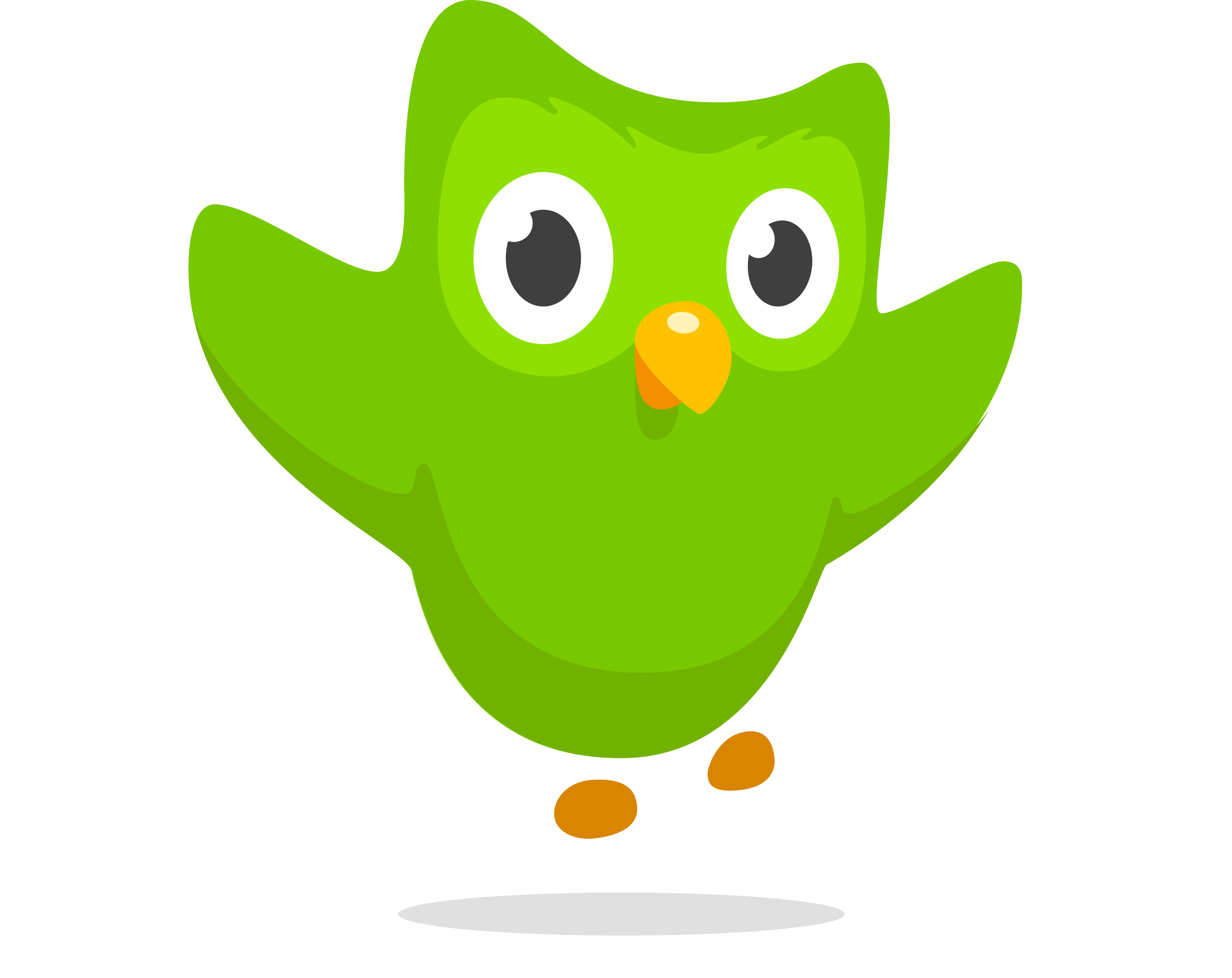 DUOLINGO PRO